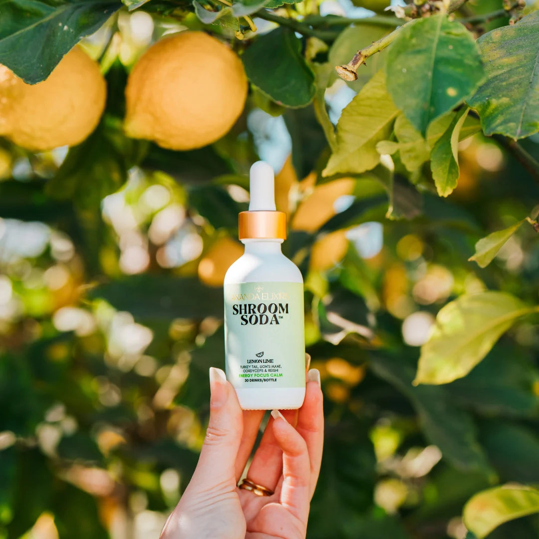 Shroom Soda - Lemon Lime