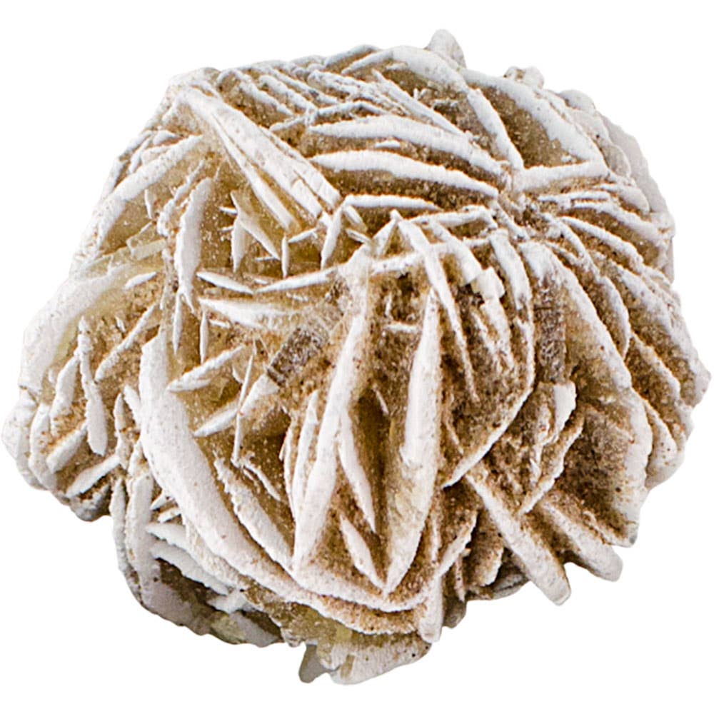 Small Desert Rose