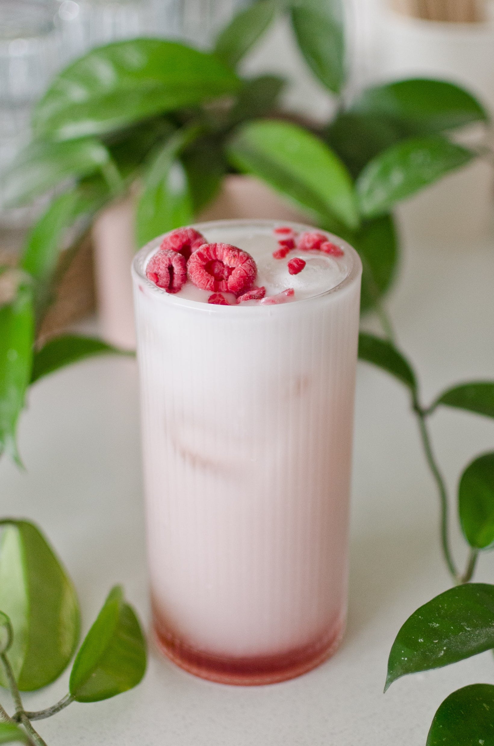 Glass of pink drink with raspberries on a light surface with green leaves in the background