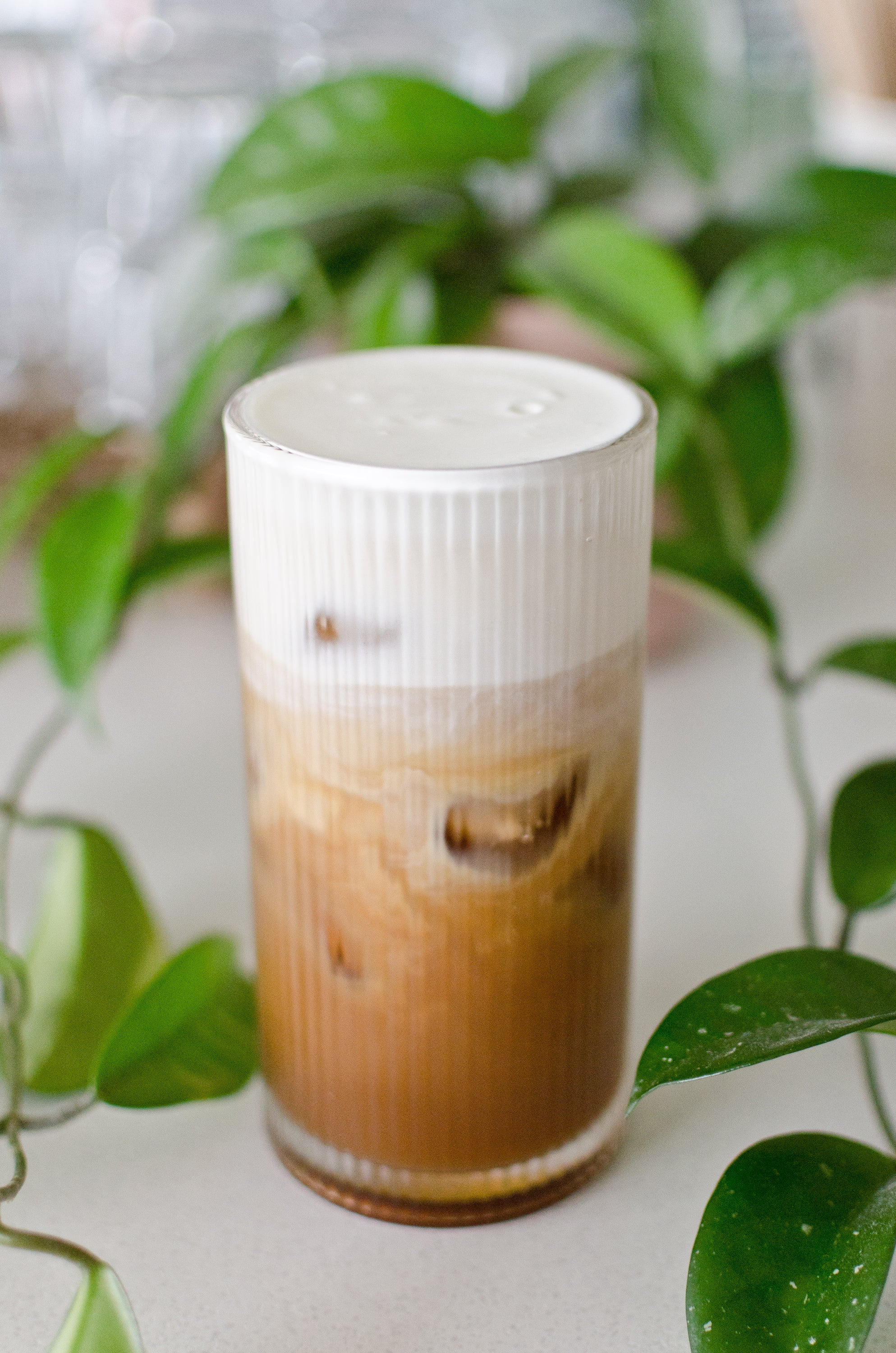 Glass of iced coffee with cold foam on a light surface with green leaves in the background
